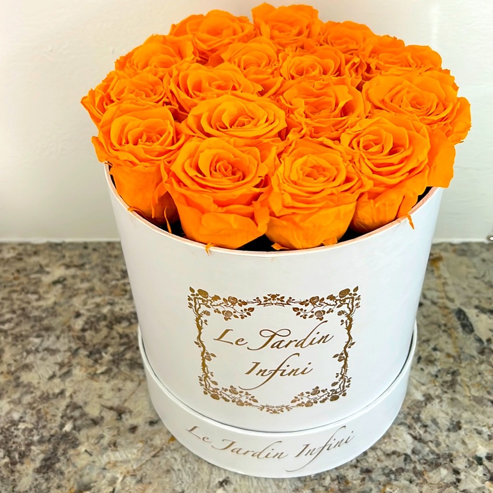 Le Jardin Infini Orange Preserved Roses Medium Round White Box